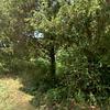 Mobile Home for Sale: 2 Bed 1 Bath 1990 Mobile Home