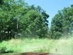Photo of Mobile Home Lot