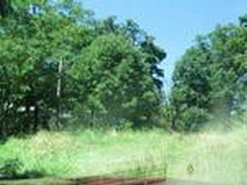Photo of Mobile Home Lot