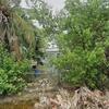 Mobile Home for Sale: 3 Bed 2 Bath 1975 Mobile Home