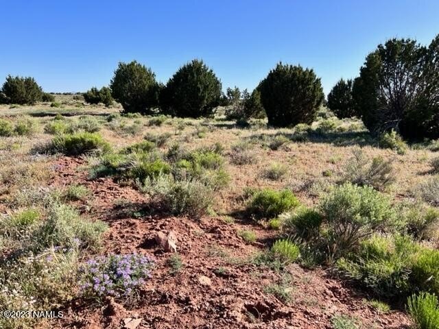 Photo of Mobile Home Lot