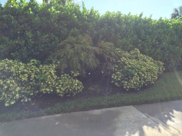 Photo of RV Lot