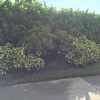 Photo of RV Lot