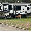 RV for Sale: 2019 FUZION 429