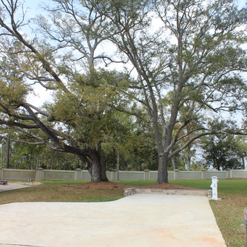 Thumbnail of RV lot