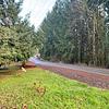 Mobile Home for Sale: 3 Bed 2 Bath 1989 Mobile Home