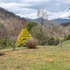 Mobile Home for Sale: Single Family,Manufactured - MARBLE, NC, Marble, NC