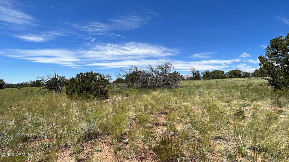 Photo of Mobile Home Lot