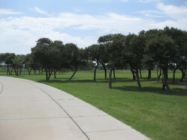 Concrete Drive in Southern Oaks Luxury RV Resort
