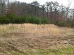 Photo of Mobile Home Lot