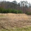 Photo of Mobile Home Lot