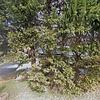 Mobile Home for Sale: 3 Bed 2 Bath 2000 Mobile Home