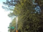 Photo of Mobile Home Lot