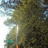 Photo of Mobile Home Lot