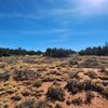 Photo of Mobile Home Lot