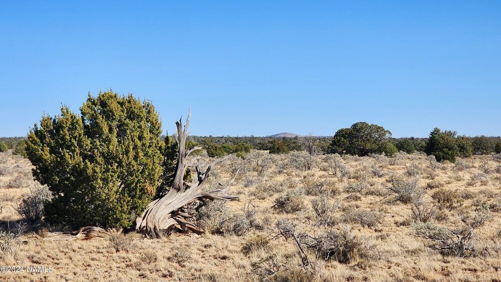 Photo of Mobile Home Lot