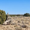 Photo of Mobile Home Lot