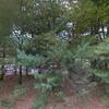 Mobile Home for Sale: 4 Bed 2.5 Bath 2009 Mobile Home