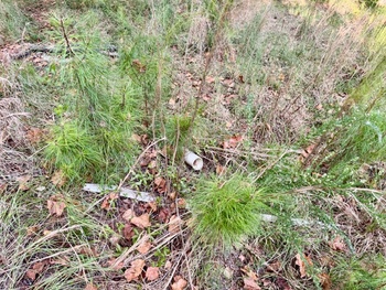 Thumbnail of mobile home lot