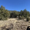 Photo of Mobile Home Lot