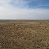 Photo of Mobile Home Lot