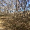 Photo of Mobile Home Lot