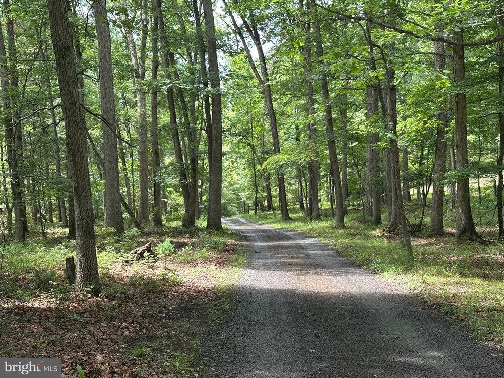 Photo of Mobile Home Lot