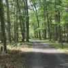 Photo of Mobile Home Lot