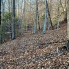 Photo of Mobile Home Lot