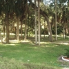 RV Lot for Sale: Florida Water Front 1 Acre RV Lot for Sale!, Homosassa, FL
