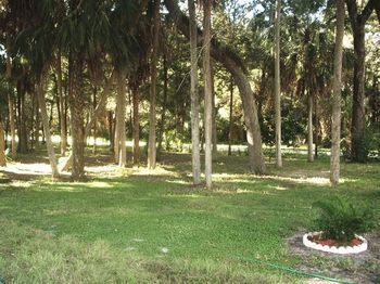 Photo of RV Lot
