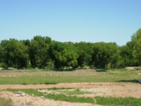 beautiful campground area or RV spaces