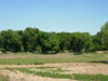 beautiful campground area or RV spaces