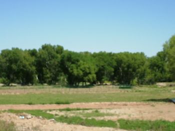 beautiful campground area or RV spaces