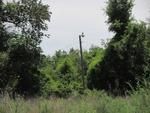 Photo of Mobile Home Lot
