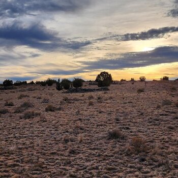 Photo of Mobile Home Lot