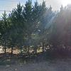 Mobile Home for Sale: 3 Bed 2 Bath 1985 Mobile Home