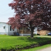 Mobile Home Park for Sale: Ripley MHP, Ripley, NY