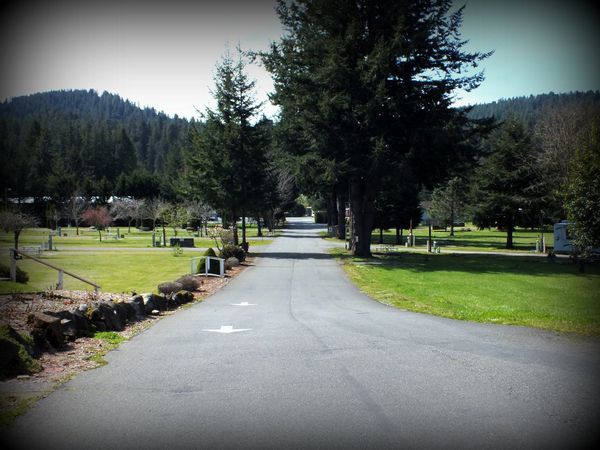 2012-04-07-3139.JPG