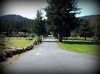 2012-04-07-3139.JPG