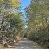 Mobile Home for Sale: 1992 Mobile Home
