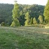 Photo of Mobile Home Lot