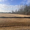 Mobile Home Lot for Sale: Mobile Home - Foley, AL, Foley, AL