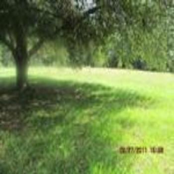 Photo of Mobile Home Lot