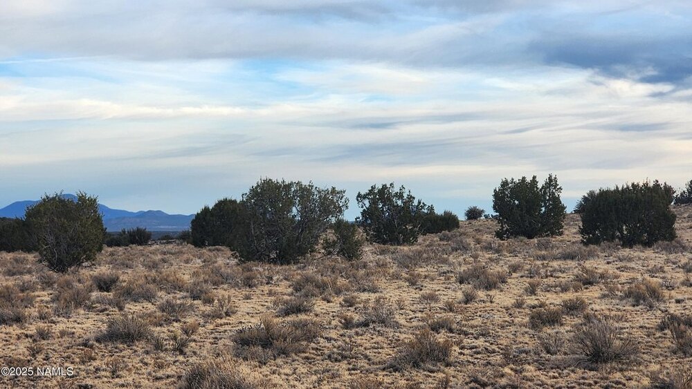 Photo of Mobile Home Lot