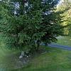 Mobile Home for Sale: 4 Bed 2.5 Bath 2002 Mobile Home