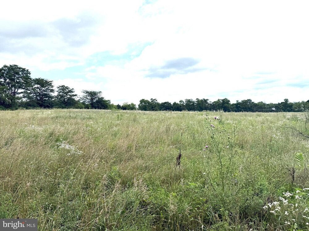 Photo of Mobile Home Lot