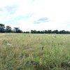 Photo of Mobile Home Lot