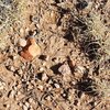 Photo of Mobile Home Lot