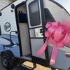 RV for Sale: 2018 R Pod